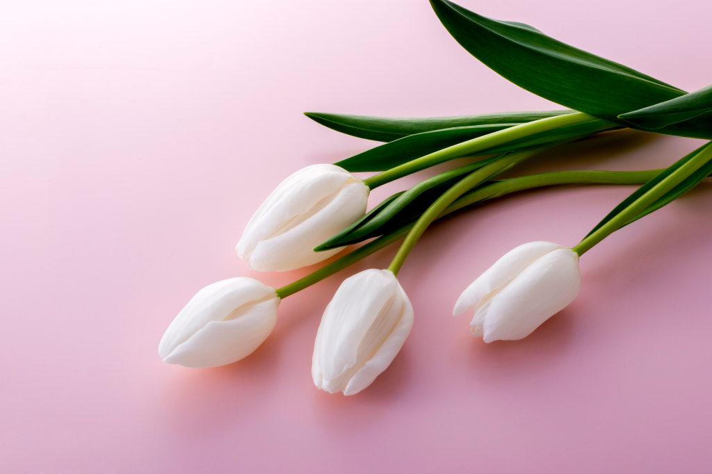 Y-nghia-cua-hoa-cuoi-4.png (708 KB)