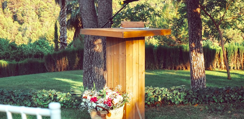 le-dam-ngo-3.jpg (158 KB)