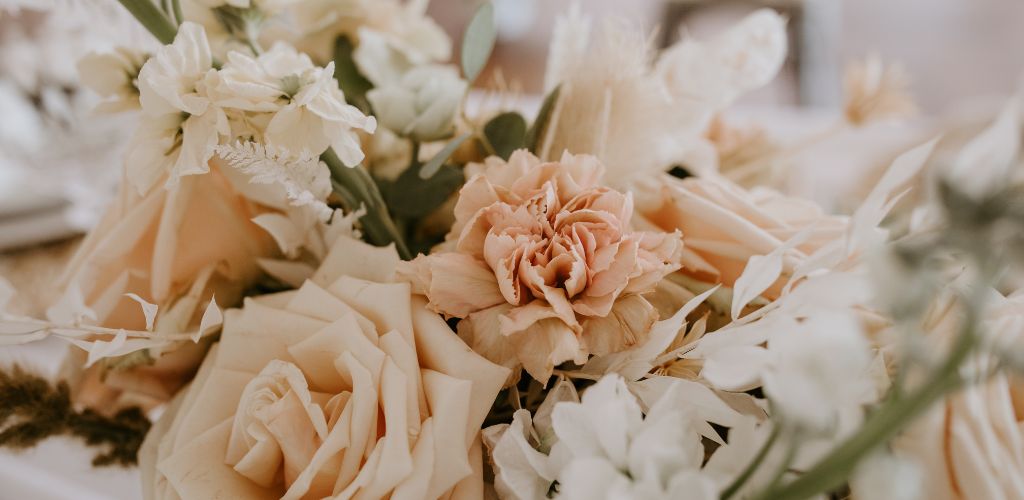 phat-bieu-dam-ngo-3.jpg (62 KB)